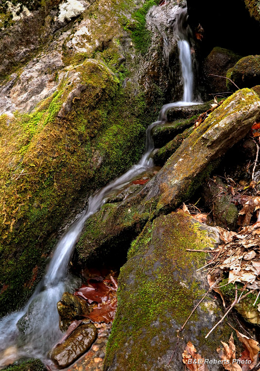 Branch cascades