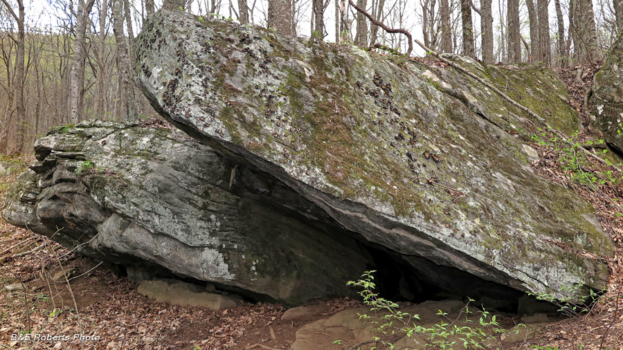 Rock_Shelter