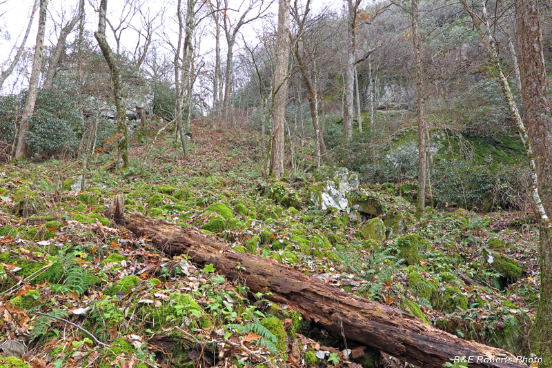 Upper_cliffs_boulders