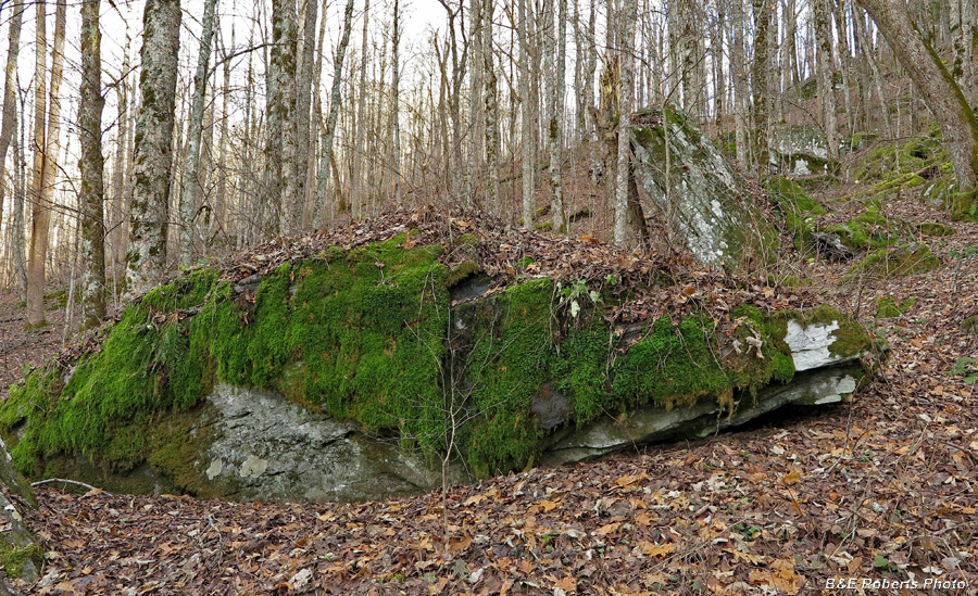 Boulder-Leaning_Rock