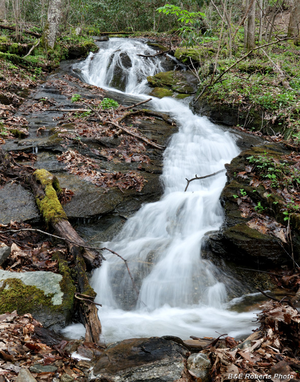 Bell_Crk_waterfall