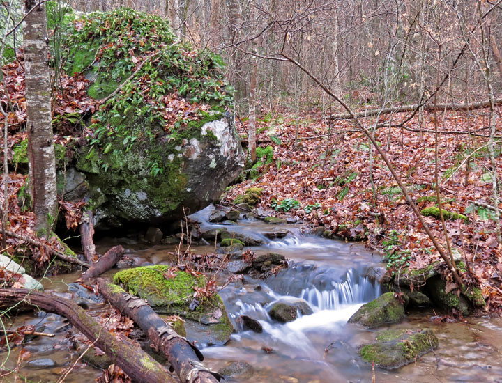 Branch_boulder