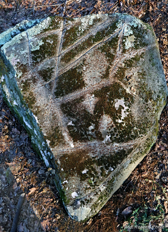 Petroglyph_Rock