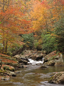 Upper_Tallulah_Gorge