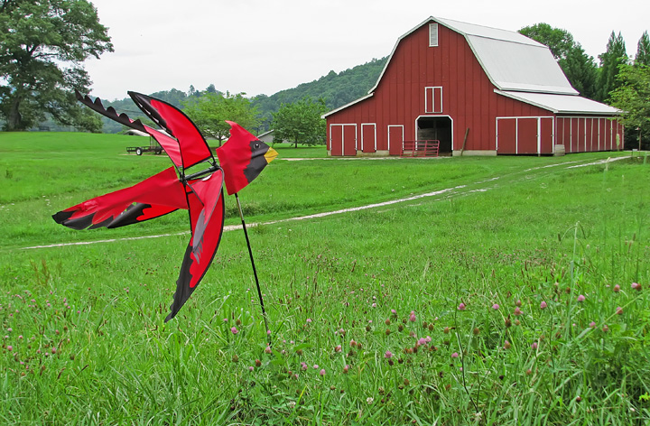 Cardinal_Barn