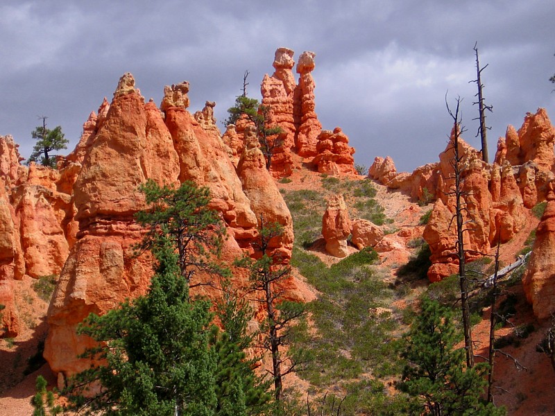 More_Hoodoos