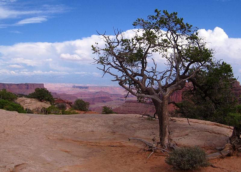 Canyonlands