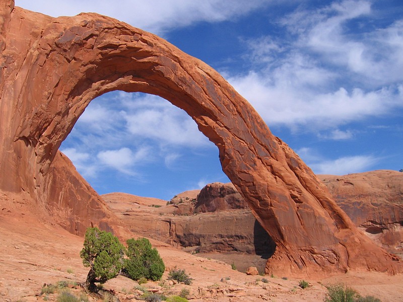 Corona_Arch