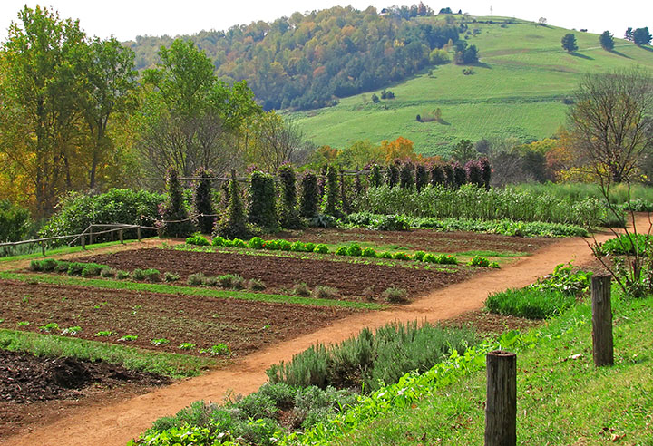 Gardens