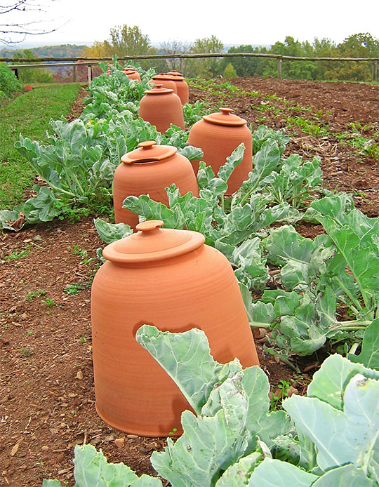 Garden_pots