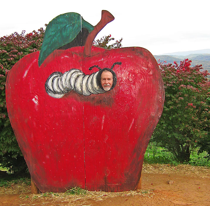 Apple_worm