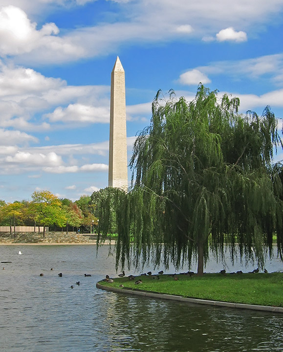 Constitution_Gardens_Pond