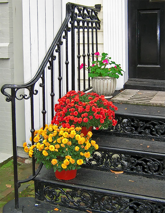 Flowers_on_steps