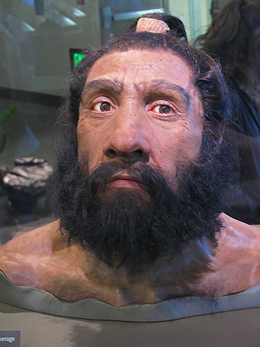 Neanderthal