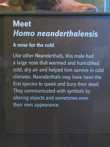 Neanderthal