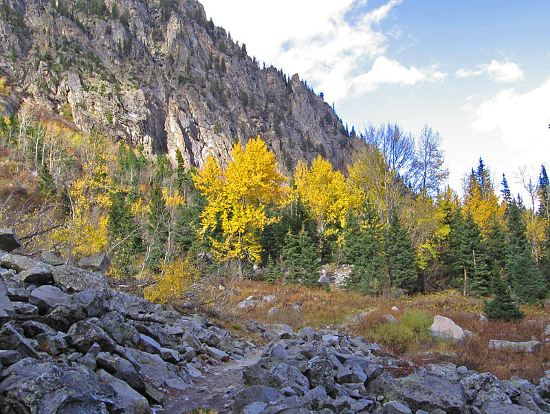 Cascade_Canyon_aspens