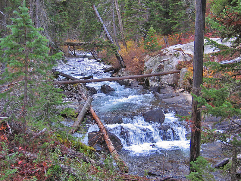 Creek_cascades