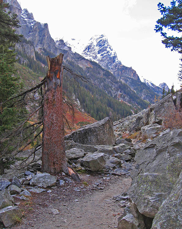 Cascade_Canyon_Trail