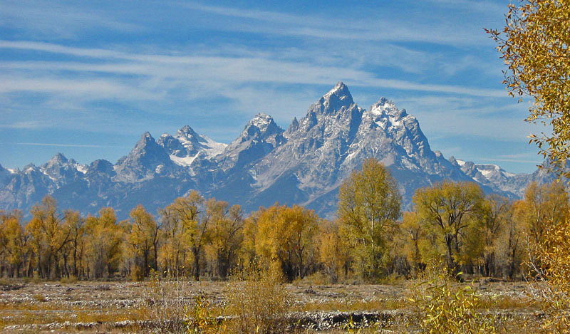 Tetons_Aspens