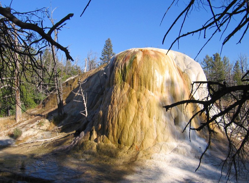 Orange_spring_mound