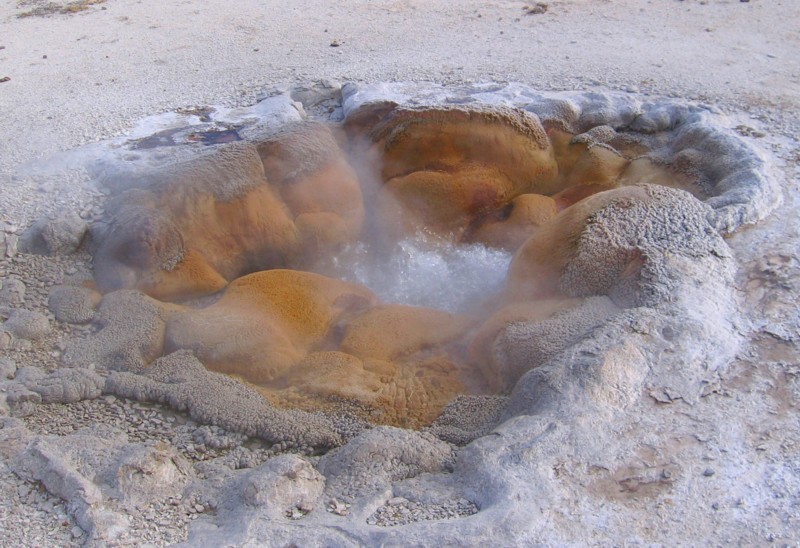 Shell-Geyser