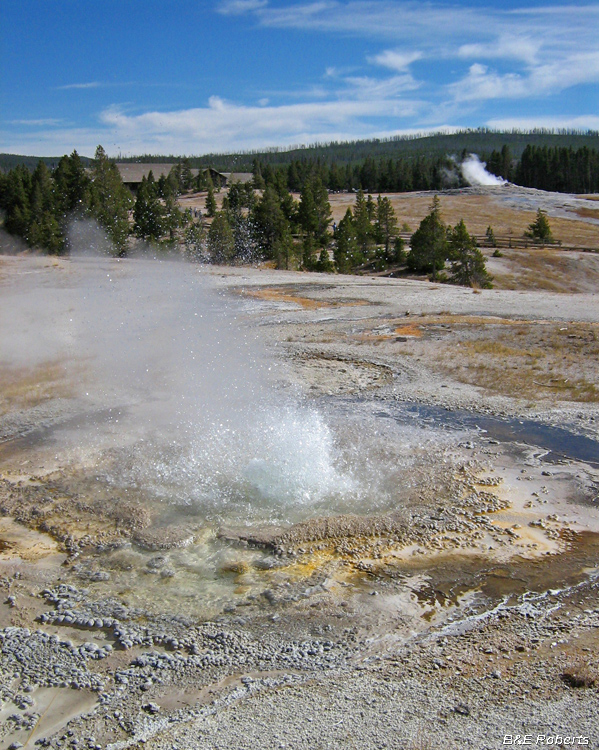 Anenome_Geyser