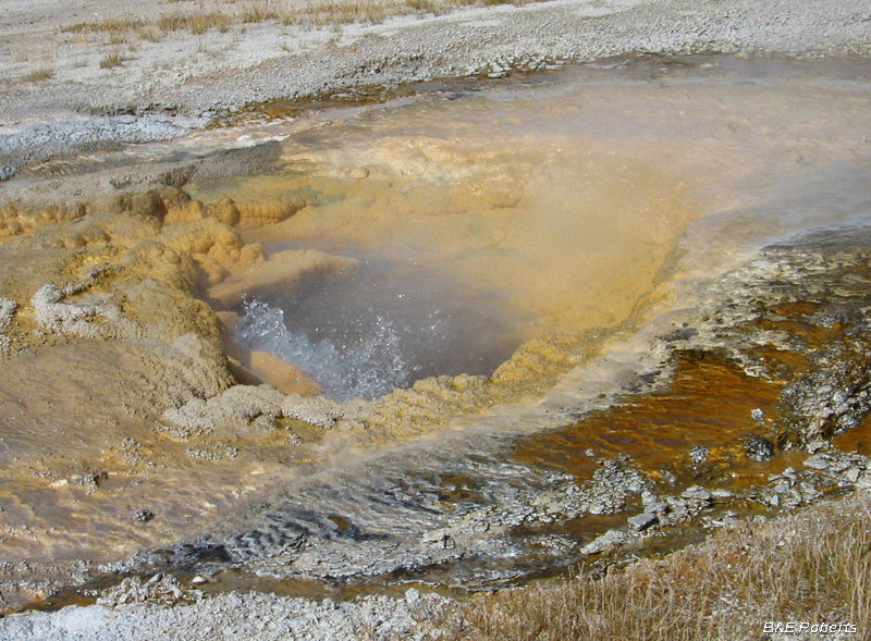 Bubbling_geyser