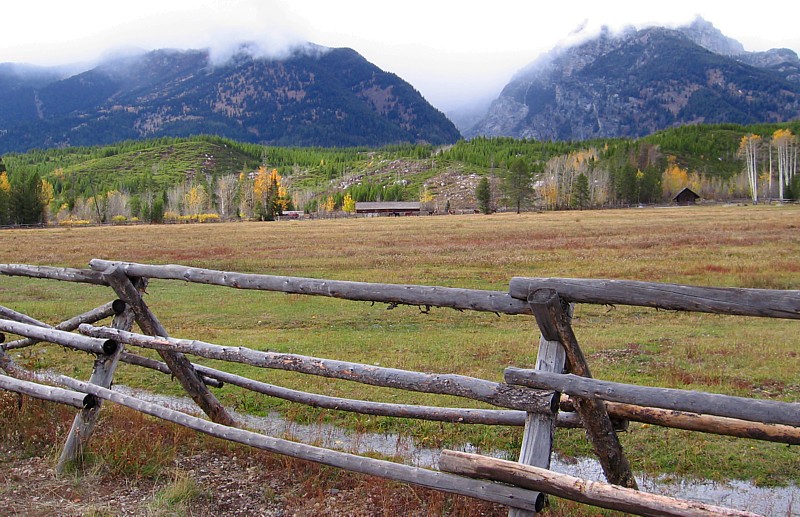 Tetons_meadow